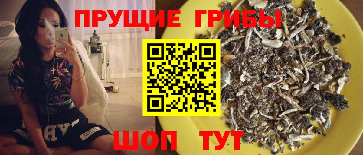 Галлюциногенные грибы Psilocybine cubensis Клин