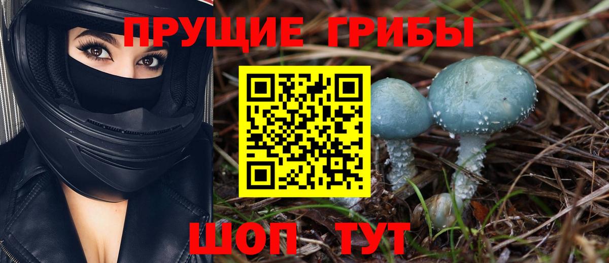 Псилоцибиновые грибы мухоморы  Вход с VPN  Клин 